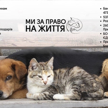4 жовтня виш проведе акцію присвячену Всесвітньому дню захисту тварин